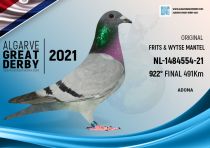 NL-1484554-21