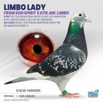 NL-1486899-18