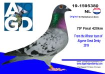 NL-1595380