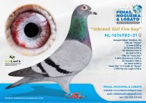 NL-1674982-21
