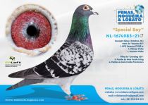 NL-1674983-21