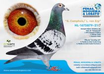 NL-1675879-21