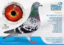 NL-1676731-21