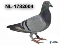 NL-1782004