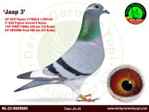 NL-23-9605680