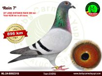 NL-24-8092318