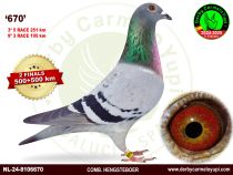 NL-24-8106670