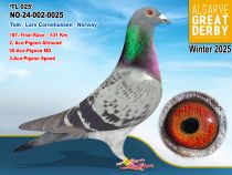 NO-24-002-0025