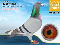 NO-24-002-0028