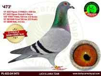 PL-023-24-3473