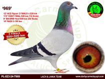 PL-023-24-7969