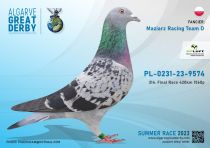 PL-0231-23-9574