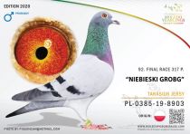PL-0385-19-8903
