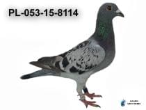 PL-053-15-8114