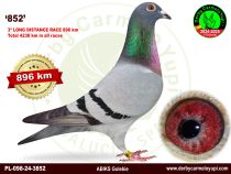 PL-098-24-3852