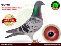 POR-24-4360386