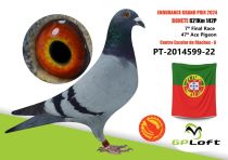 PT-2014599-22
