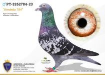 PT-3262784-23
