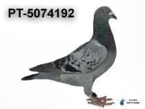 PT-5074192