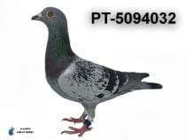 PT-5094032