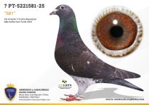 PT-5221581-25