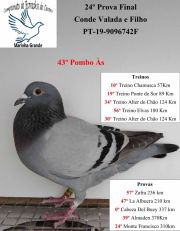 PT19-9096742