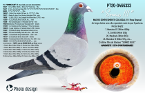 PT20-0466333