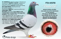 PT24-4053758