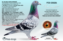 PT25-5350264