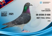 SK-01306-21-608