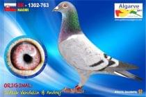 SK-1302-763