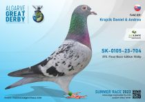 SK-23-0105-704