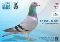 SK-23-01306-1207