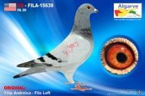 US-FILA-15639
