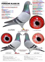 4149299-24