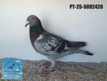 5092426-25