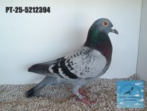 5212394-25