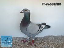 5387904-25