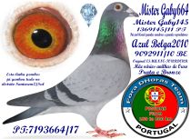 7193664-17