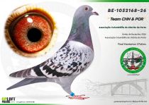 BE-1032168-26