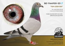 BE-1144920-22