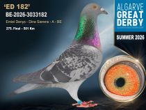 BE-2026-3033182