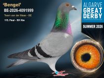 BE-2026-4091999