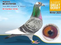 BE-24-4181526