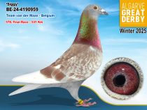 BE-24-4190959