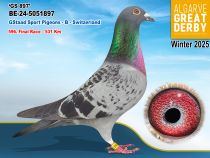 BE-24-5051897