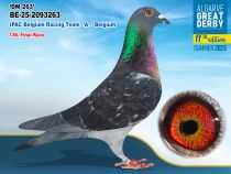 BE-25-2093263