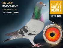 BE-25-3045342