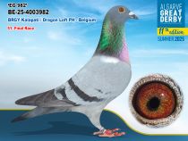 BE-25-4003982