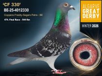 BE-25-4012330